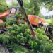 Four killed in Gopalganj road accident