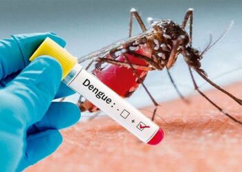 Two dengue patients die, 820 hospitalised in 24 hrs