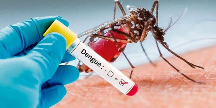 Two dengue patients die, 820 hospitalised in 24 hrs