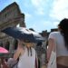 Record heatwaves sweep the world, from US to Japan via Europe