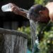 Record highs scorch the globe as Europe prepares for heatwave peak