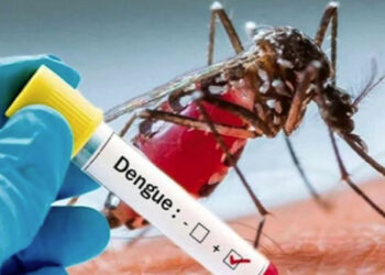 12 Dengu patients died 2844 admitted last 24 hours in Bangladesh