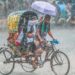 Rain may increase again from tomorrow