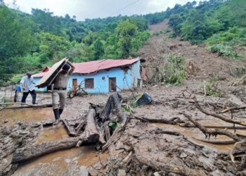 At least 24 killed in India after heavy rains: officials