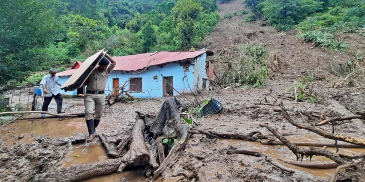 At least 24 killed in India after heavy rains: officials