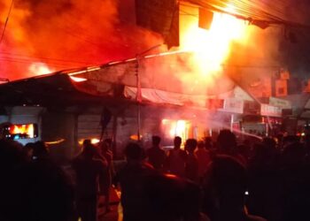 Fire at Mohammadpur Krishi Market under control