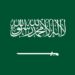 Saudi Arabia sends $3m as compensation, arrears for expatriate workers