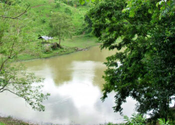 Four UPDF men shot dead at Hilli District Khagrachhori in Bangladesh