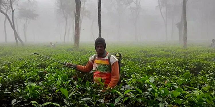 Lowest temperature drops to 5.8° as cold wave sweeps over 12 districts