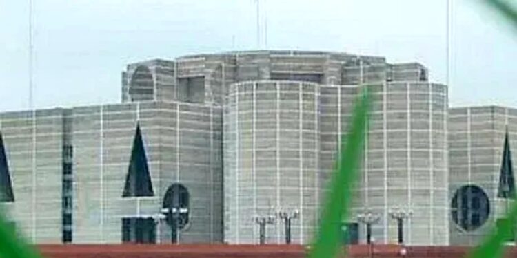 Independent MPs unsure of their role in parliament