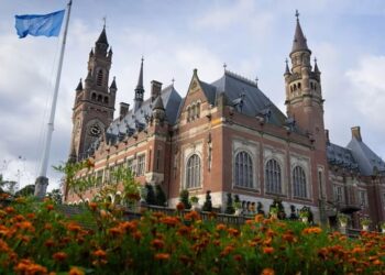 UN top court to hear genocide case against Israel next week