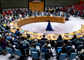 Security Council to meet after UN top court’s Gaza ruling
