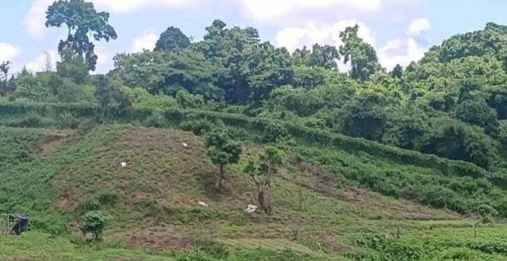 Mortar fire from Myanmar 2 Bangladeshi killed