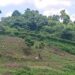 Mortar fire from Myanmar 2 Bangladeshi killed