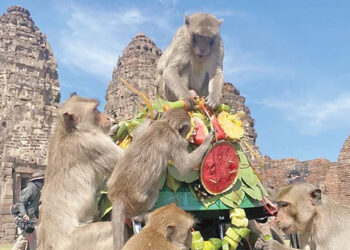 Lopburi city in Thailand occupied by monkeys