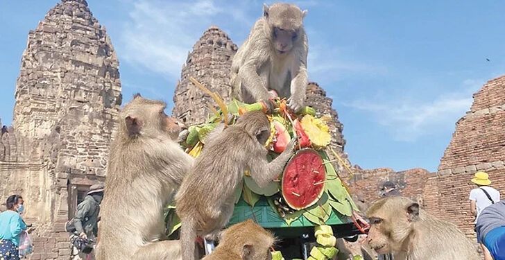 Lopburi city in Thailand occupied by monkeys