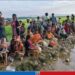 Rohingyas are again at the border to enter Bangladesh
