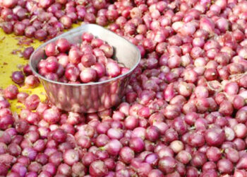 1,650 tonnes of onion to arrive from India tonight: Titu