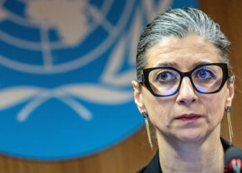 Israel has committed genocide in Gaza: UN expert