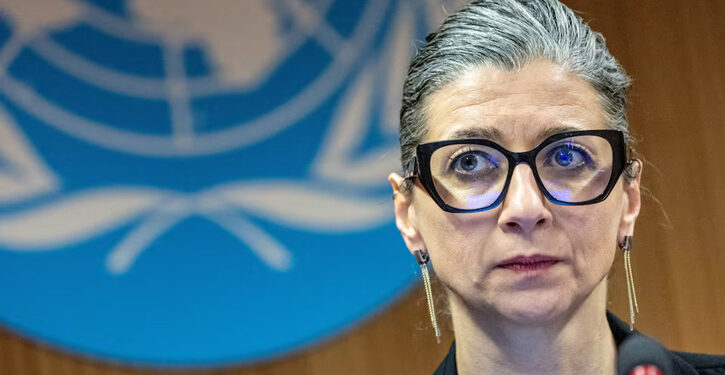 Israel has committed genocide in Gaza: UN expert