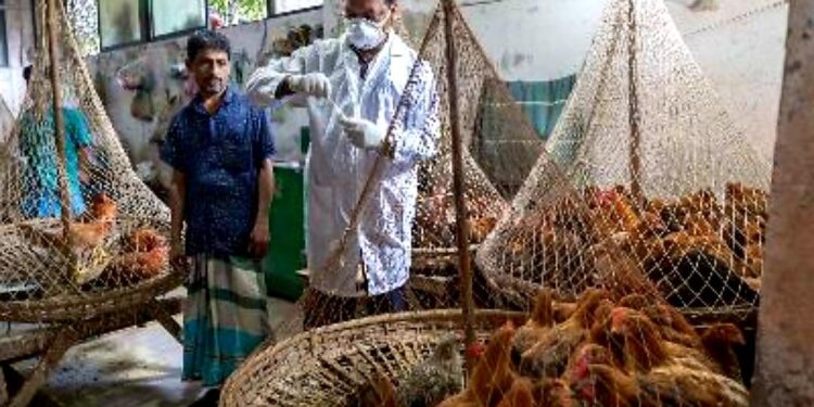 New U.S. “One Health” Project to Bolster Response to Infectious Disease and Pandemic Threats in Bangladesh