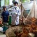 New U.S. “One Health” Project to Bolster Response to Infectious Disease  and Pandemic Threats in Bangladesh