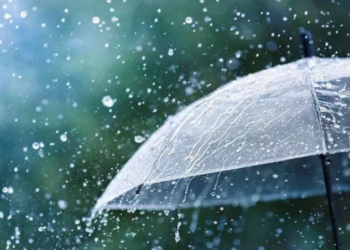 Rain with gusty wind likely in 3 divisions