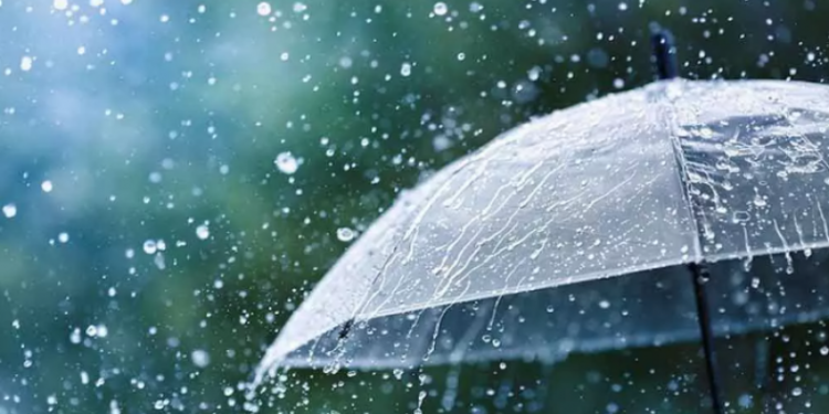 Rain with gusty wind likely in 3 divisions