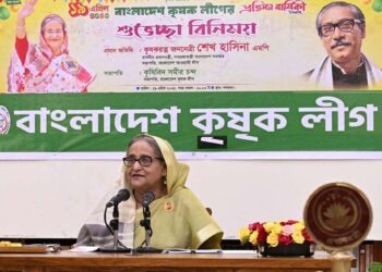 BNP men face no political cases: PM