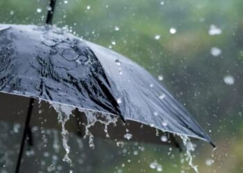 Rain likely in all 8 divisions