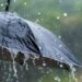 Rain likely in all 8 divisions