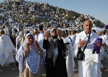 Muslim pilgrims pray on Mount Arafat in hajj climax