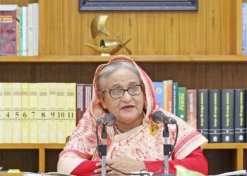 We have nothing to do until court decides, PM Hasina says on quota