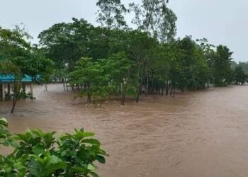 Floods grips Sylhet, Sunamganj, Netrokona prolonging sufferings of people