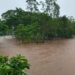 Floods grips Sylhet, Sunamganj, Netrokona prolonging sufferings of people