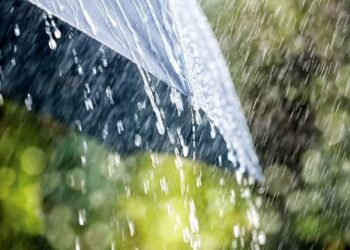 Met office predicts rain in all 8 divisions