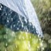 Met office predicts rain in all 8 divisions