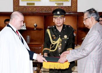 President receives credentials from ambassadors of Sweden, Algeria