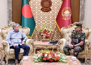 Army chief pays courtesy call on president