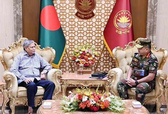 Army chief pays courtesy call on president