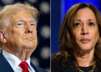 Trump at 243 electoral votes, Harris at 194: US media