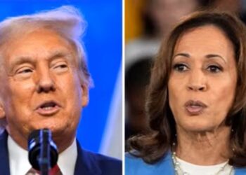 President-elect Trump at 294 electoral votes, Harris at 223