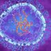 Nothing to be worried about HMPV virus: IEDCR