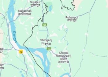 Bangladeshi injured in BSF firing at Shibganj border