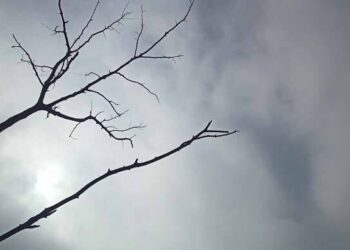 The sun appeared in the sky of Dhaka after two days
