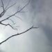 The sun appeared in the sky of Dhaka after two days
