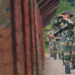 Most of those arrested for illegally entering India from Bangladesh are Muslims