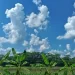 Met office forecasts mainly dry weather over country