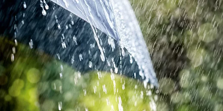 Rain, thundershowers likely in parts of country