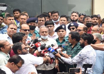 No militant activity in the country: home adviser